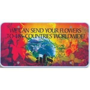 Plastic License Plate Card Inserts (Thin)